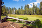 Lassen Volcanic 01