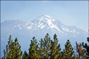 Mount Shasta