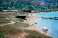 16-Greece-Delos-00-09-01-23-1920x1283