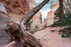 03-Tent-Rocks-03-04-01-16-1920x1289