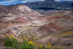 21-John-Day-Fossil-Beds-NM-24-05-2967-1920x1277